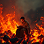 Article: The Man Who Outread the Fire: Quiet in the Middle of the Last Sentence